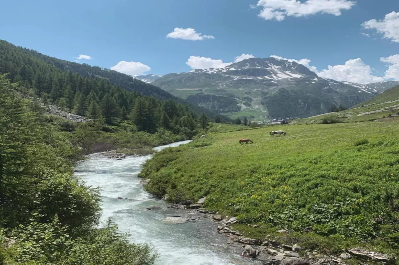 Chalet La Grande Sassière-Gebiete Sommer 20 km