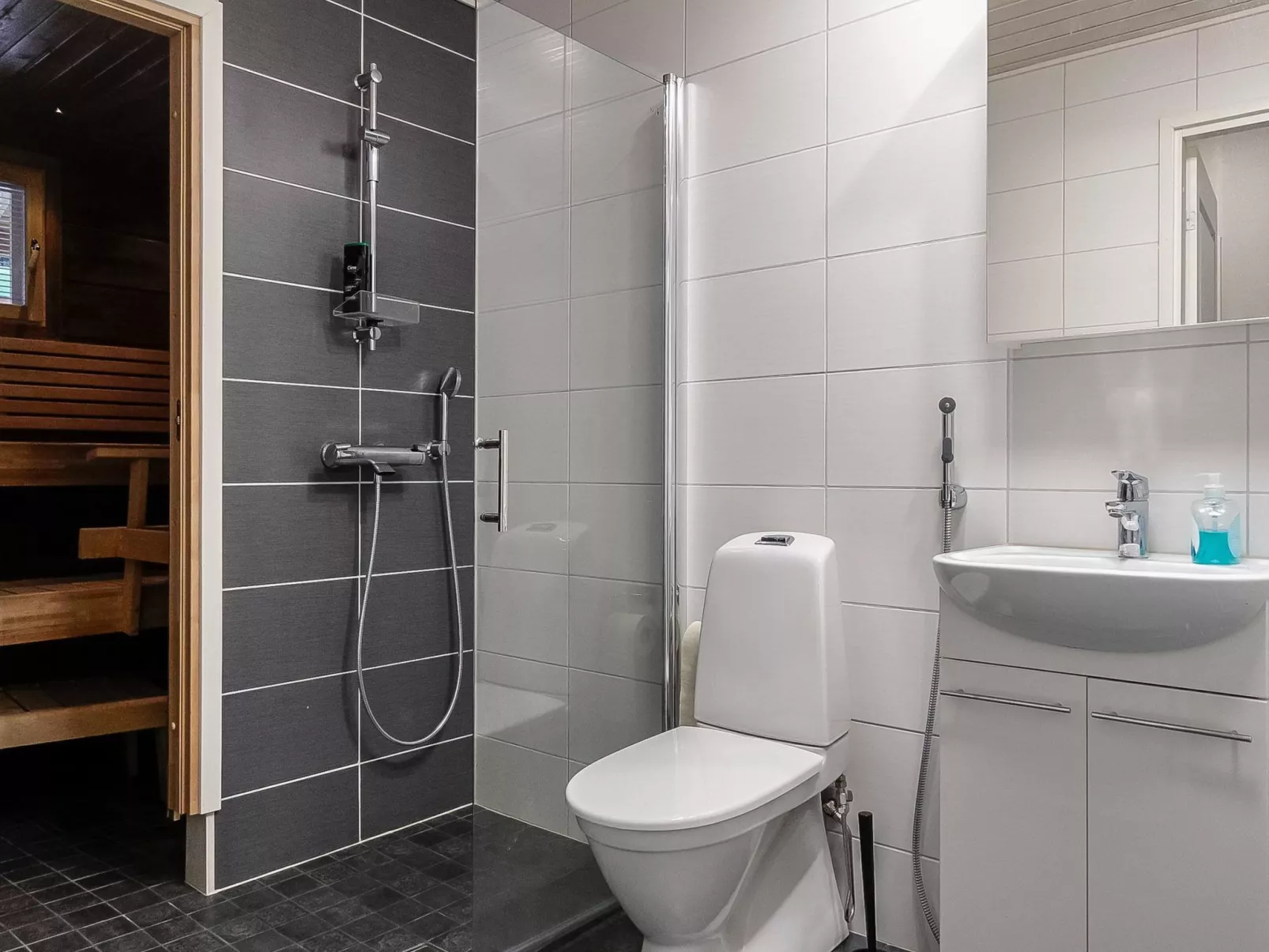 Levin revontulitaivas a-Dedans