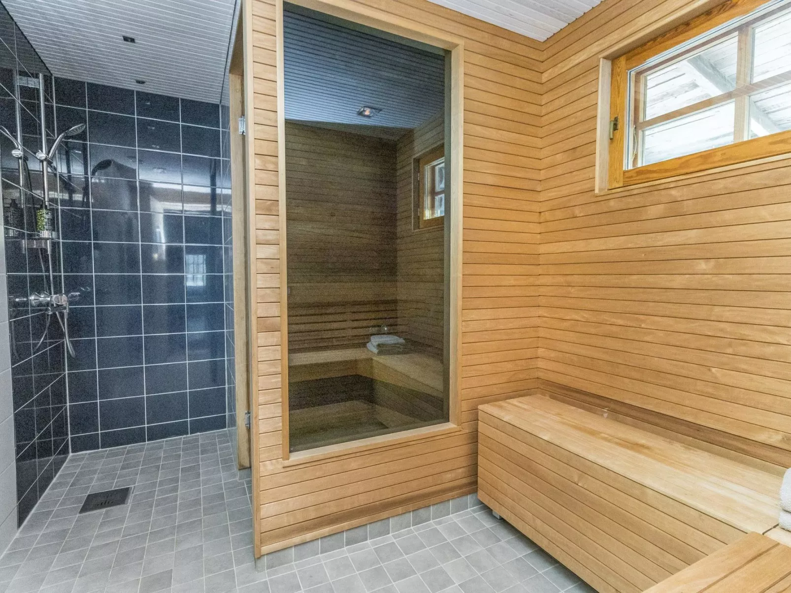 Kaasavuoren ranta-Dedans