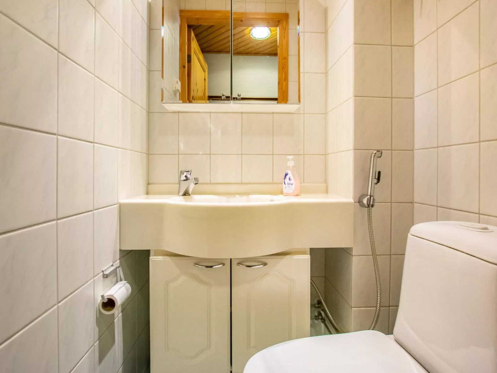 Lomariekko 6 a 4 pikkuriekko-Inside