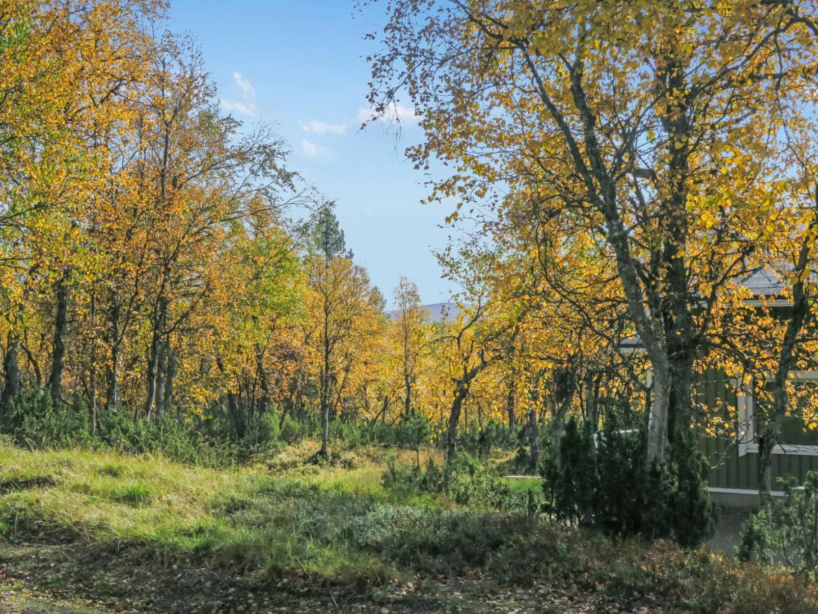 Siularinne b9-Drinnen