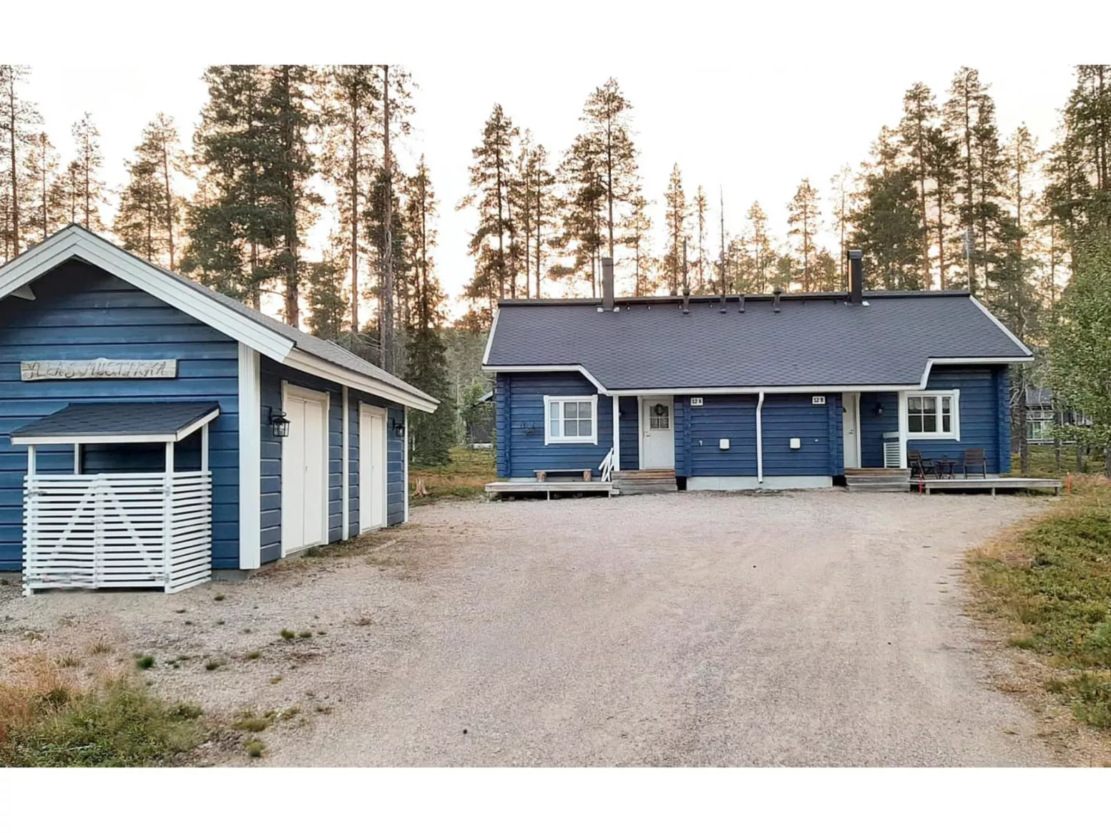 Ylläs mustikka b-Drinnen