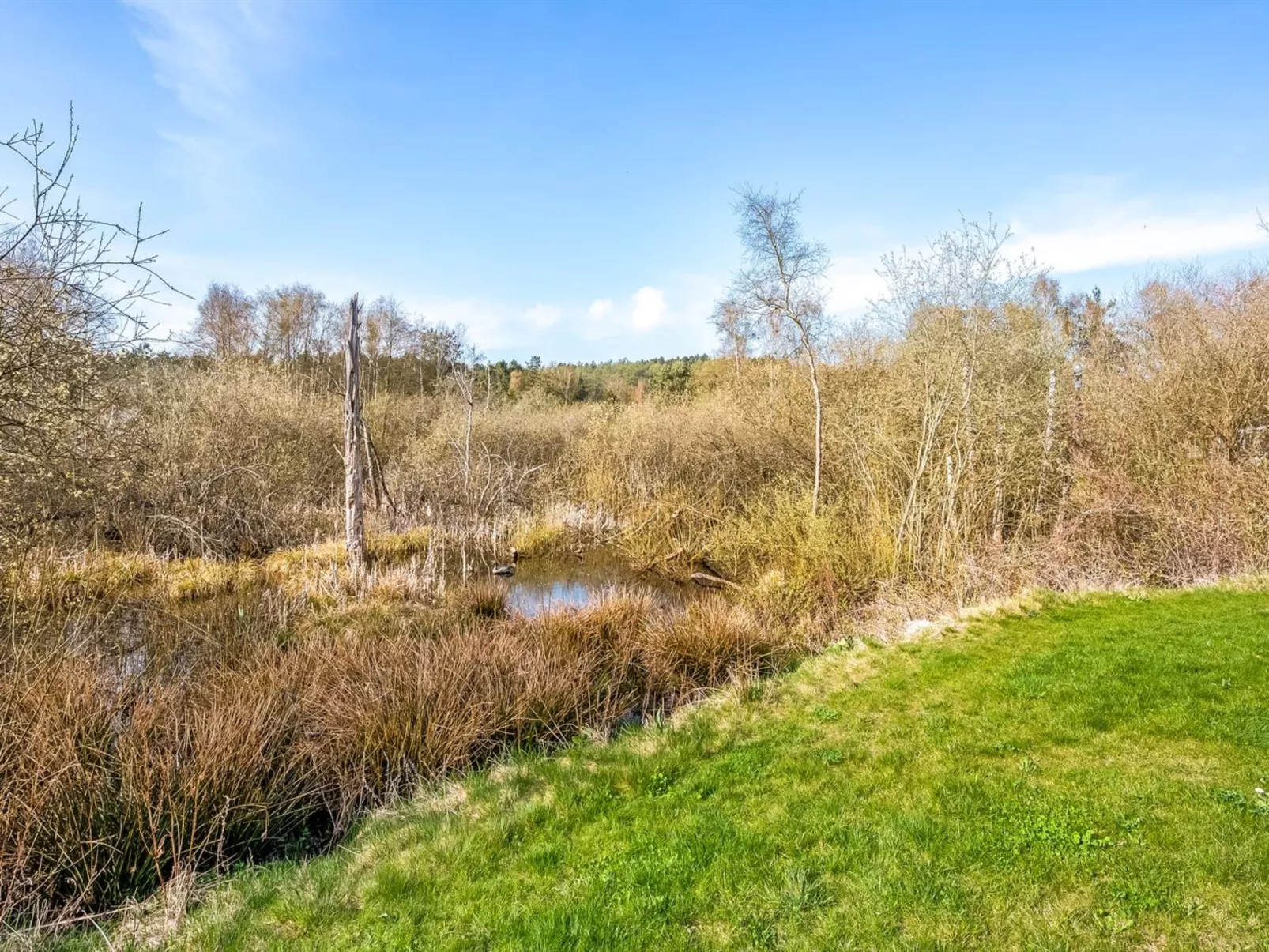 "Blek" - 2.8km from the sea-Outside