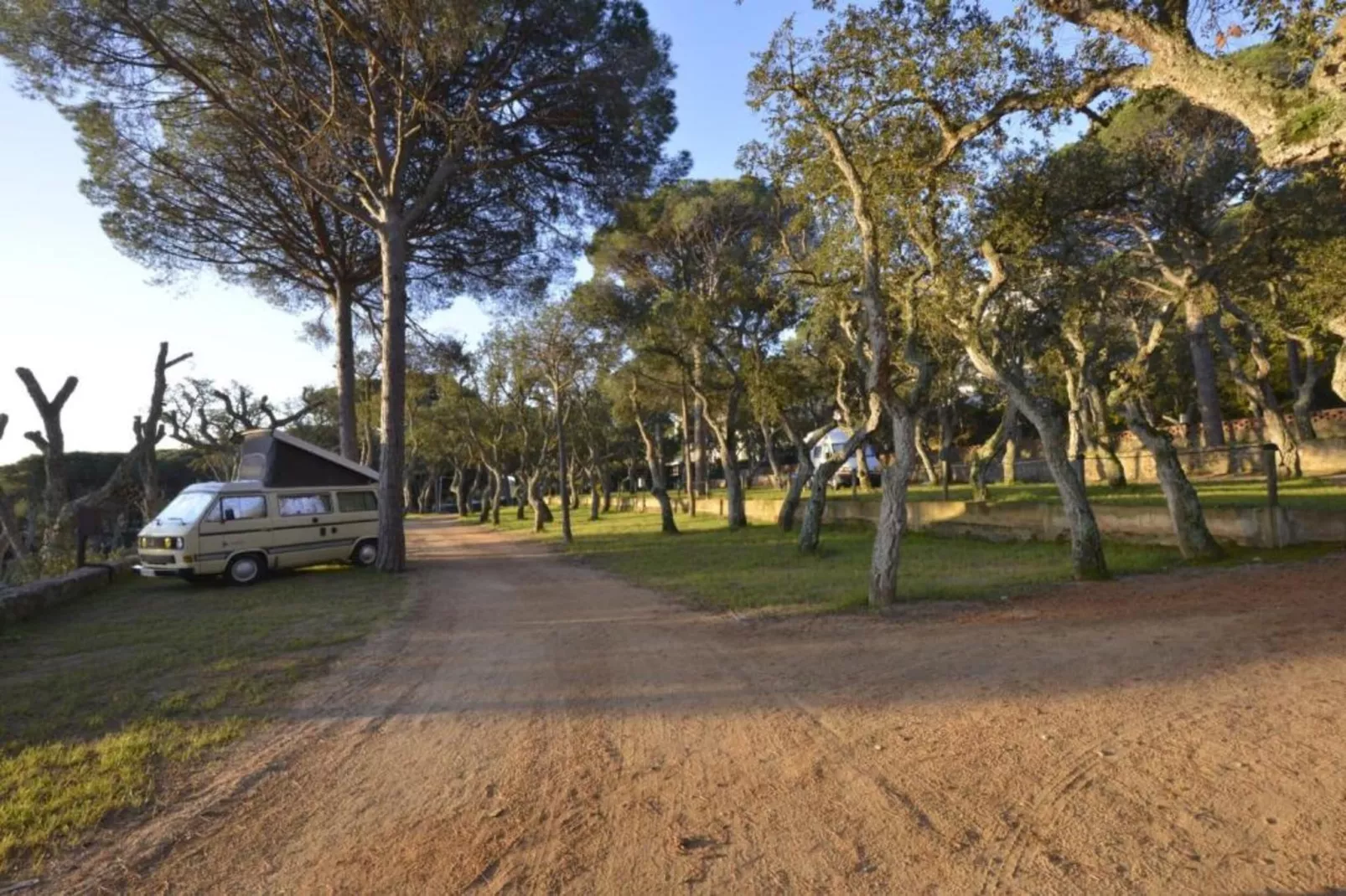 Illa 23-Gebiete Sommer 20 km