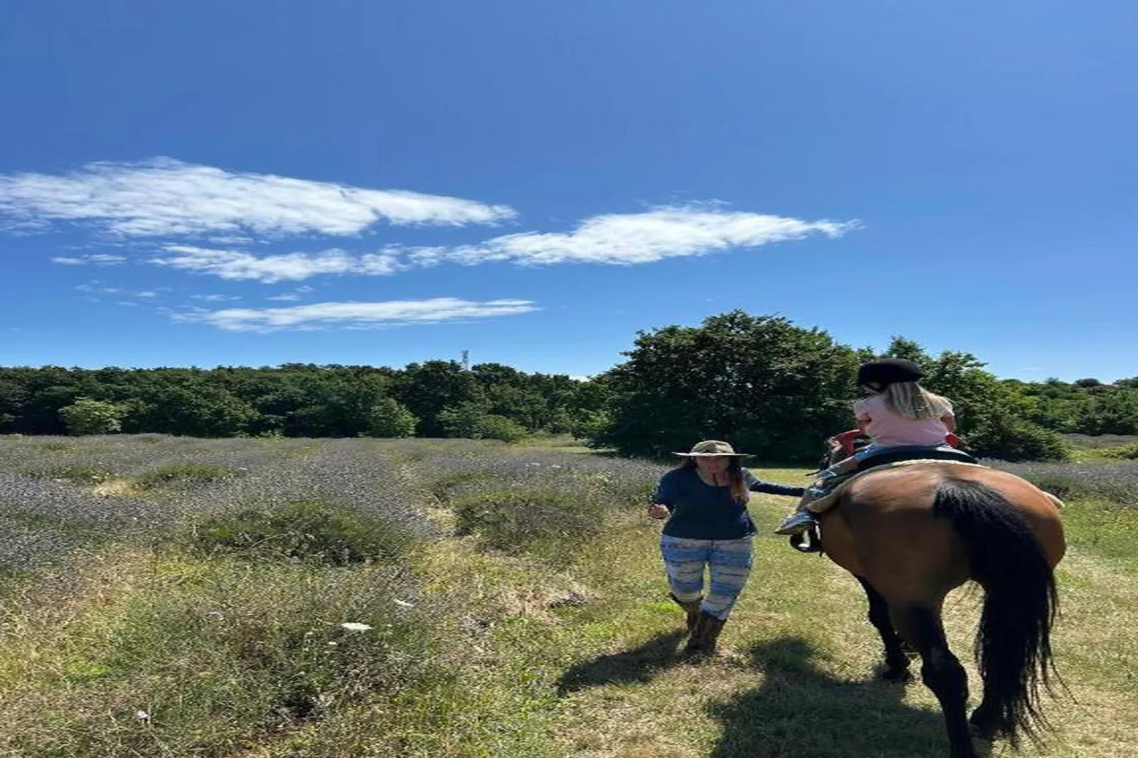 Apartment Mirna with Pool and Lovely Garden-Zones été à 20 km