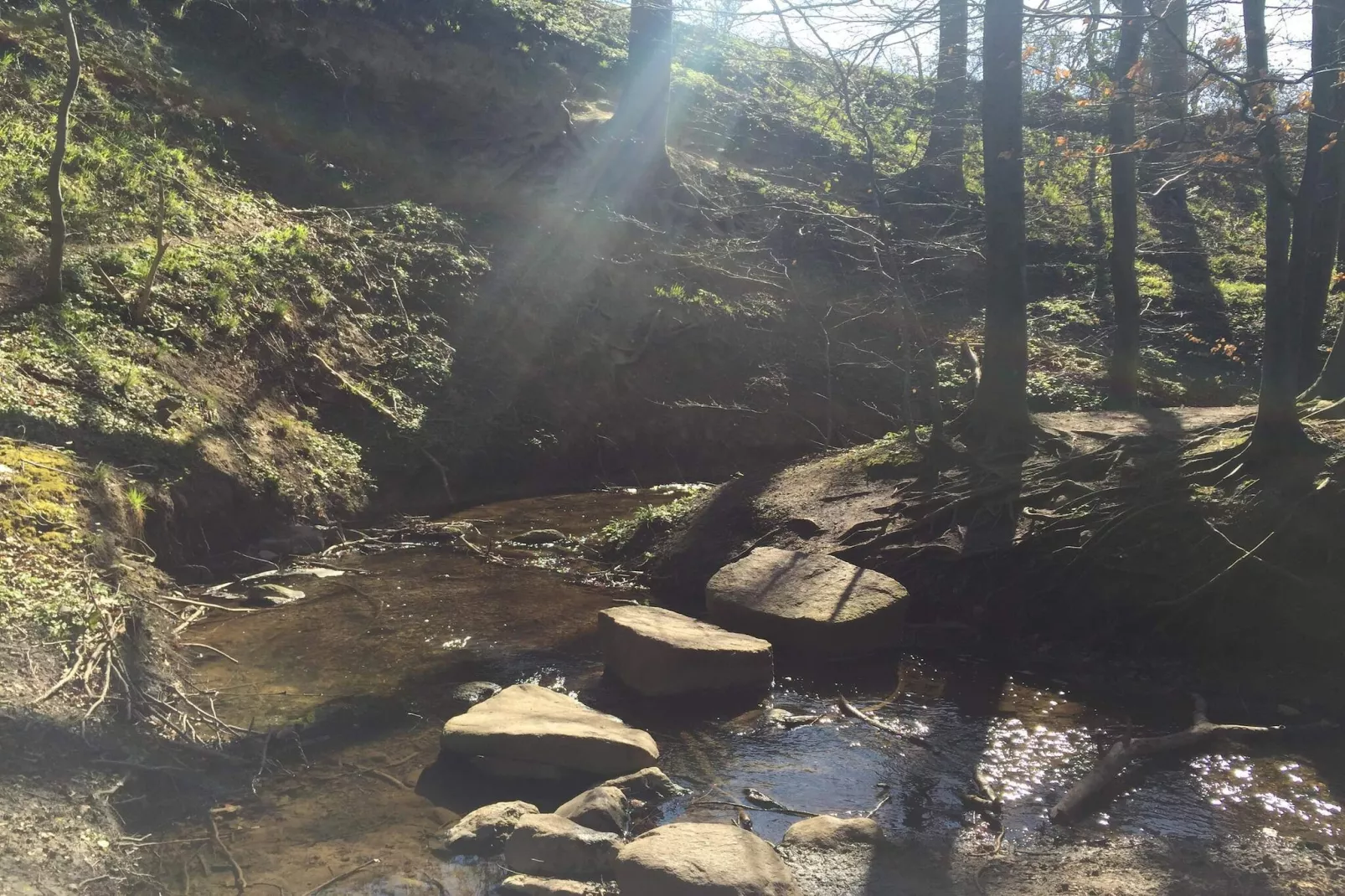 Beautiful cottage near the beach-Water view