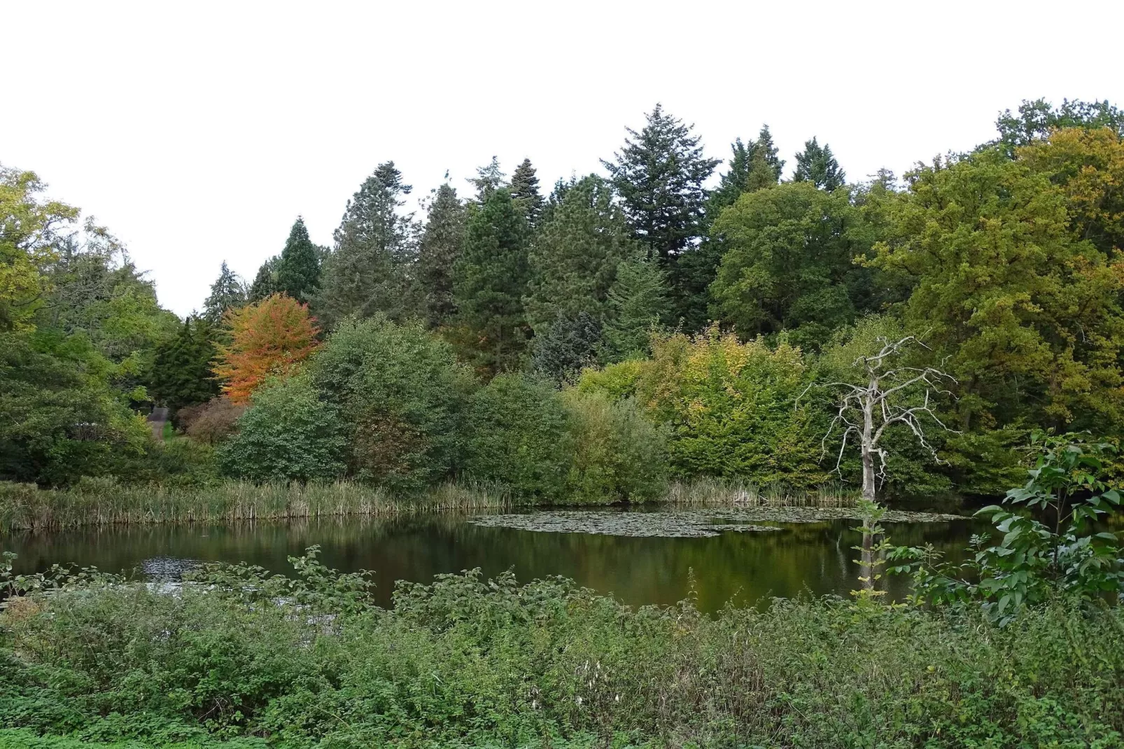 4 etoiles maison de vacances a Vedbæk-Vue sur l'eau