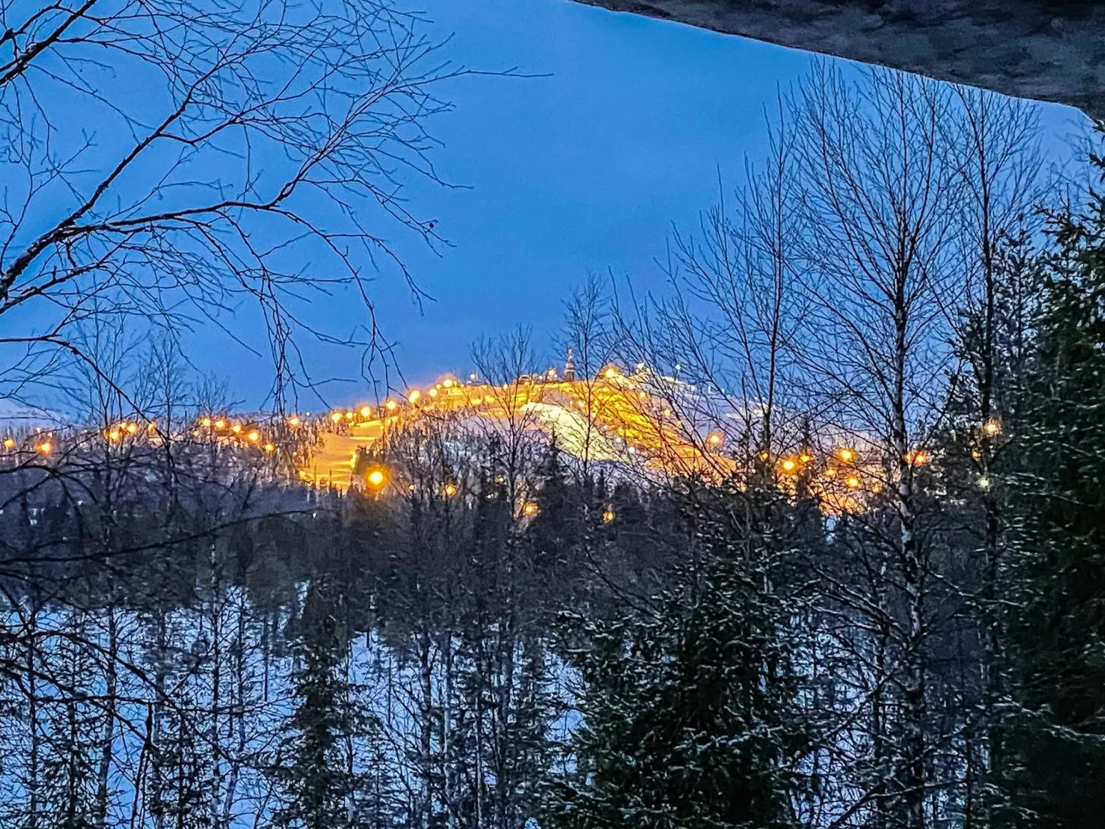 Riekonkätkä-Dedans