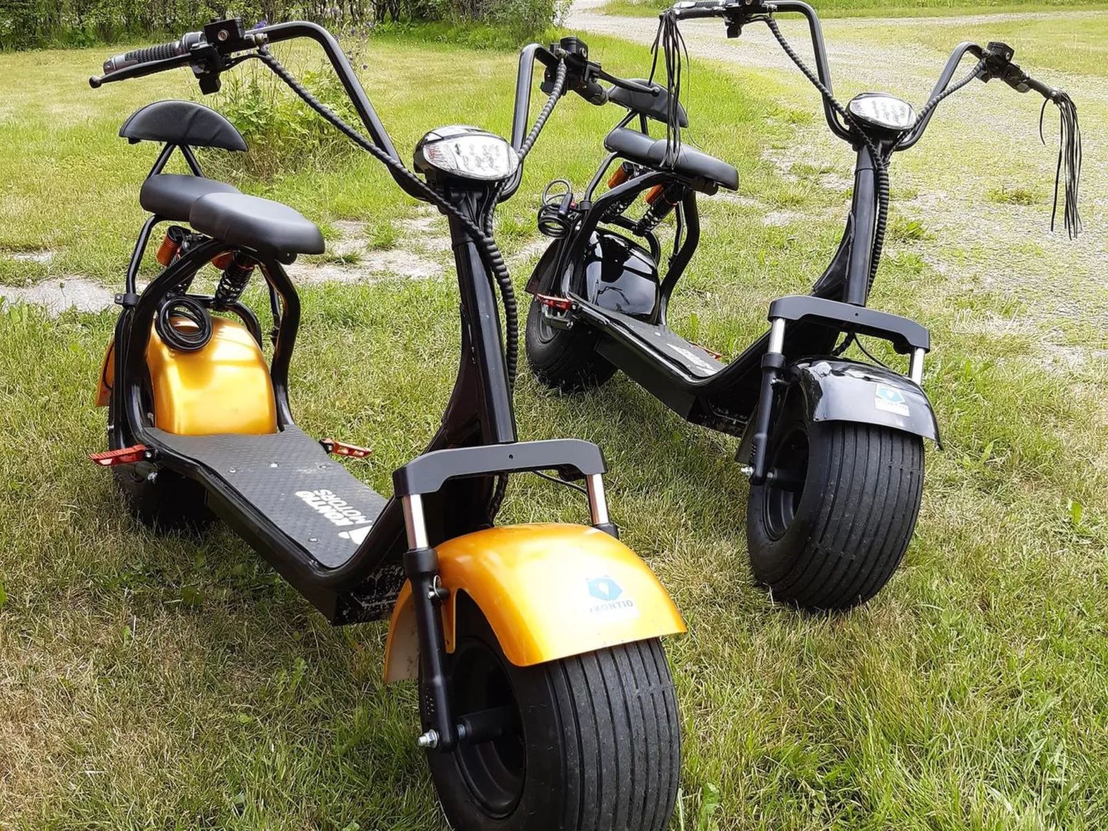 Västäräkki-Dedans