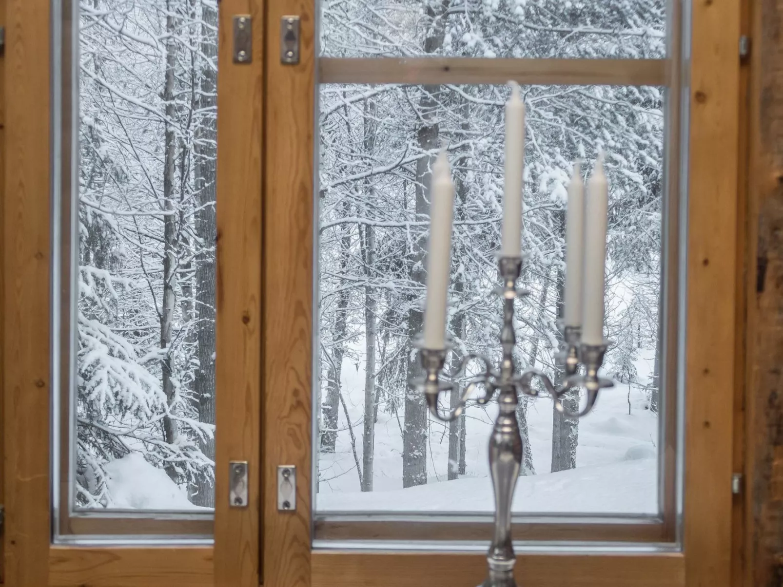 Salmikangas f1-Dedans