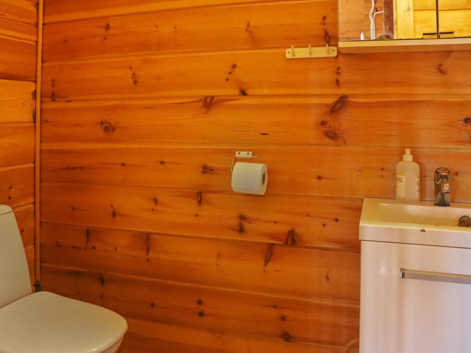 Alppitalo mökki-Dedans