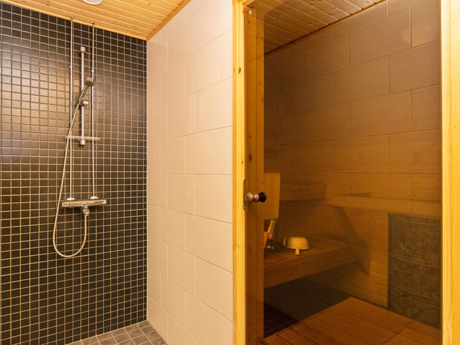 Paljakan pirtit a3-Dedans