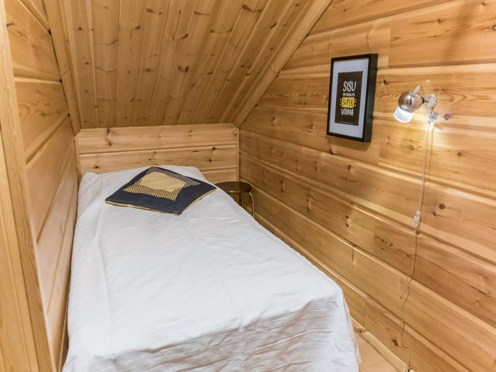 Vuokatin wassu-Dedans