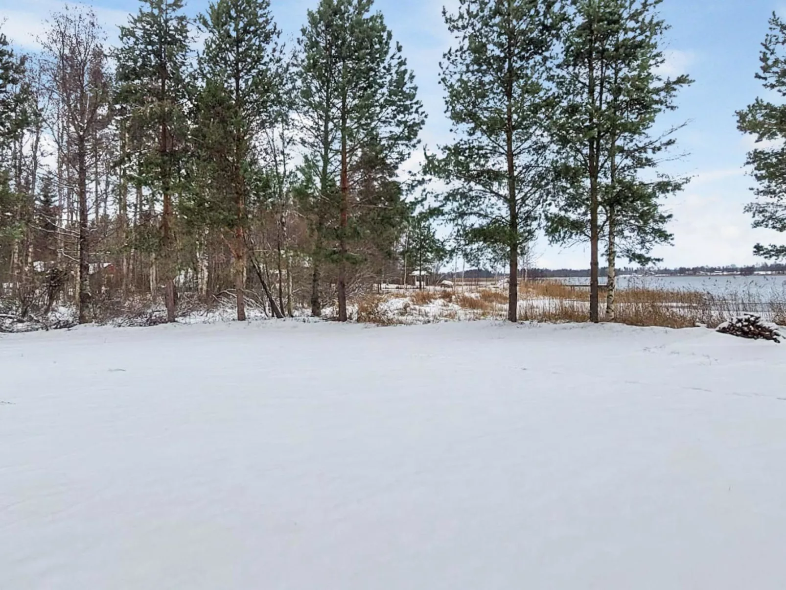 Ruokovirran mökki-Drinnen