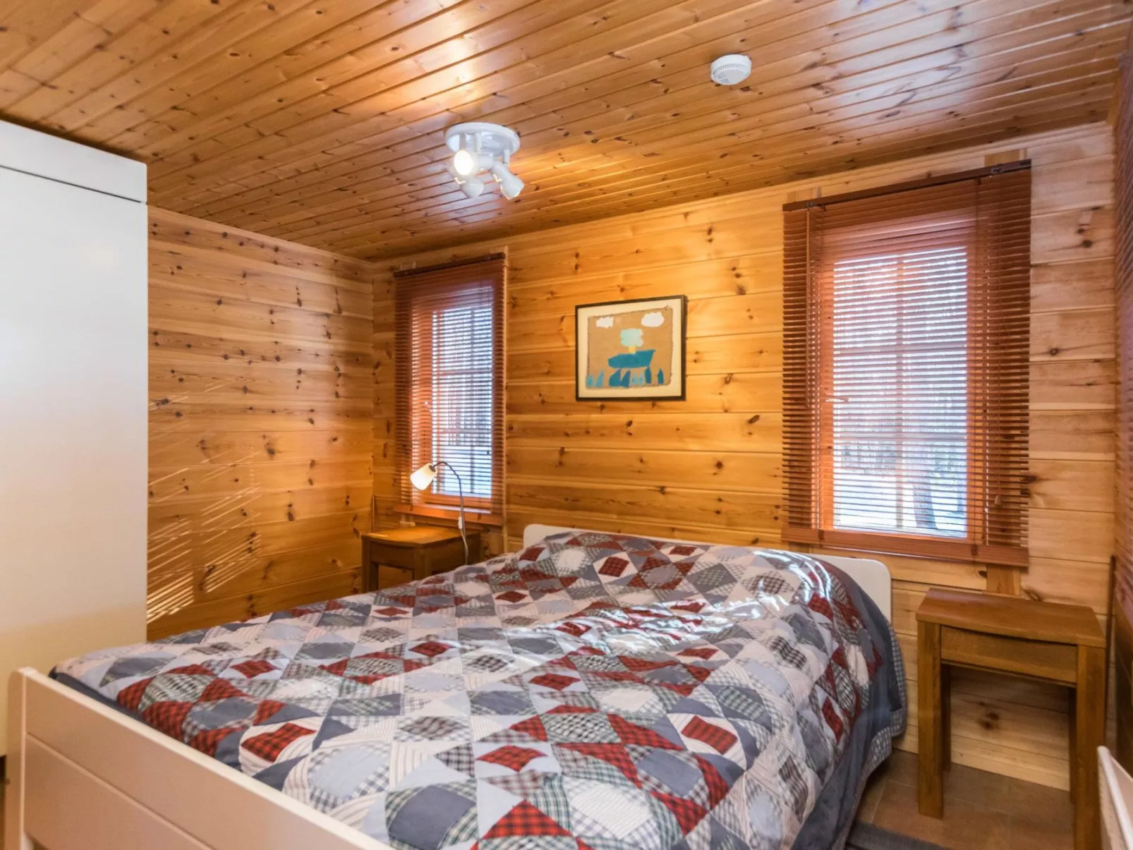 Puolen hehtaarin metsä-Inside