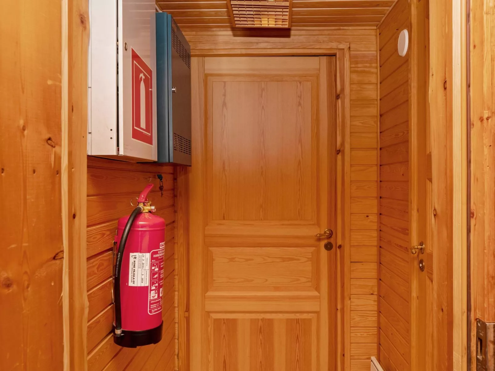 Villihanhi 7b-Dedans