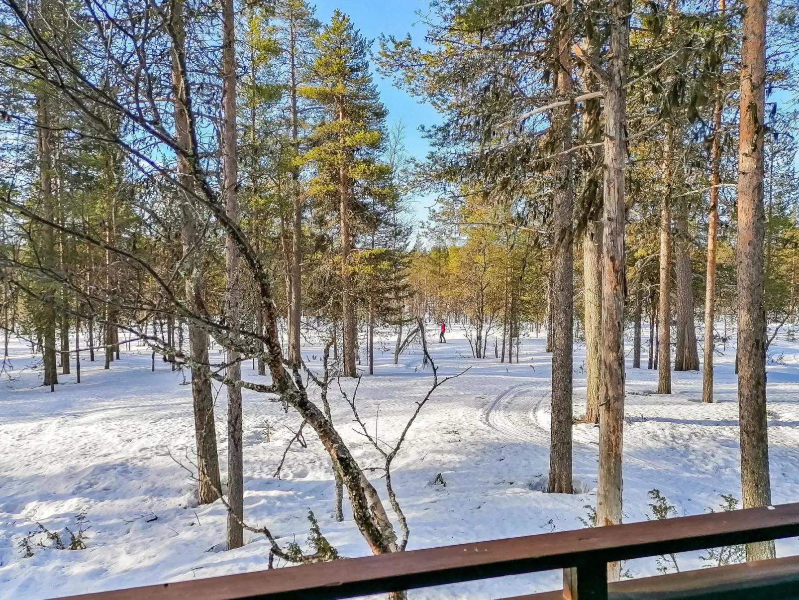 Siulapalkinen b 8-Dedans