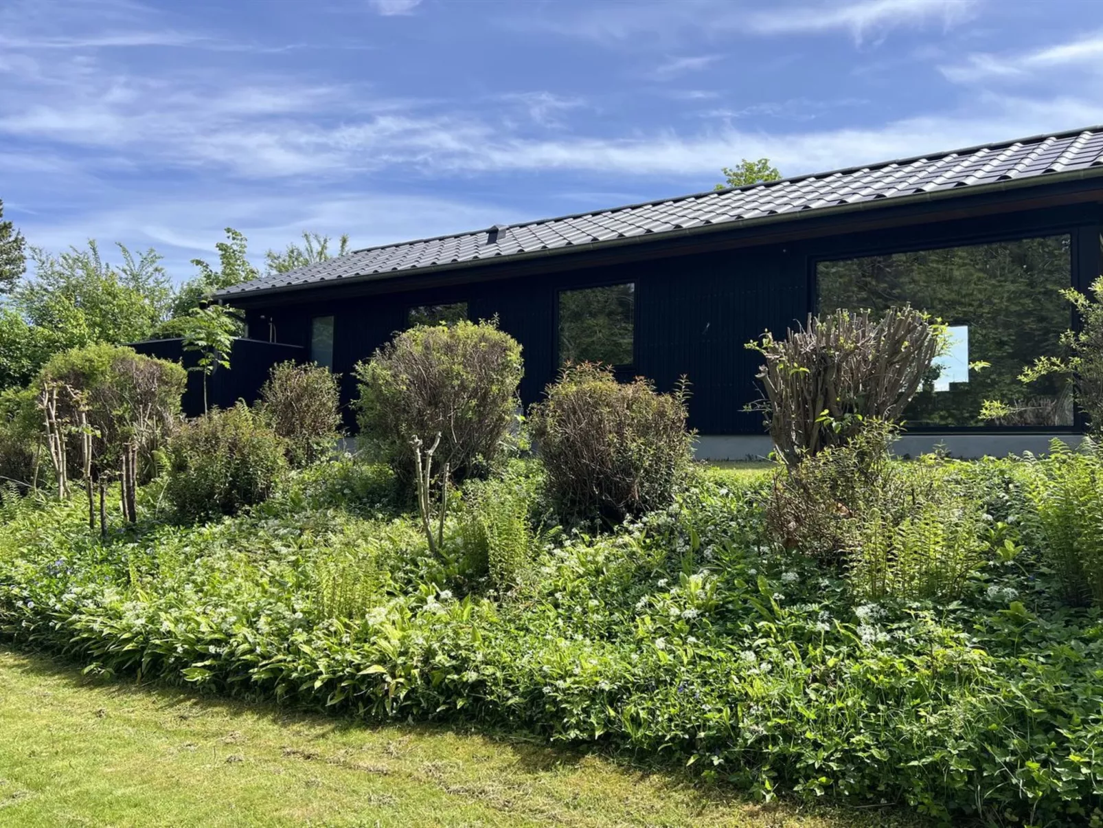 "Radica" - 400m from the sea-Draußen