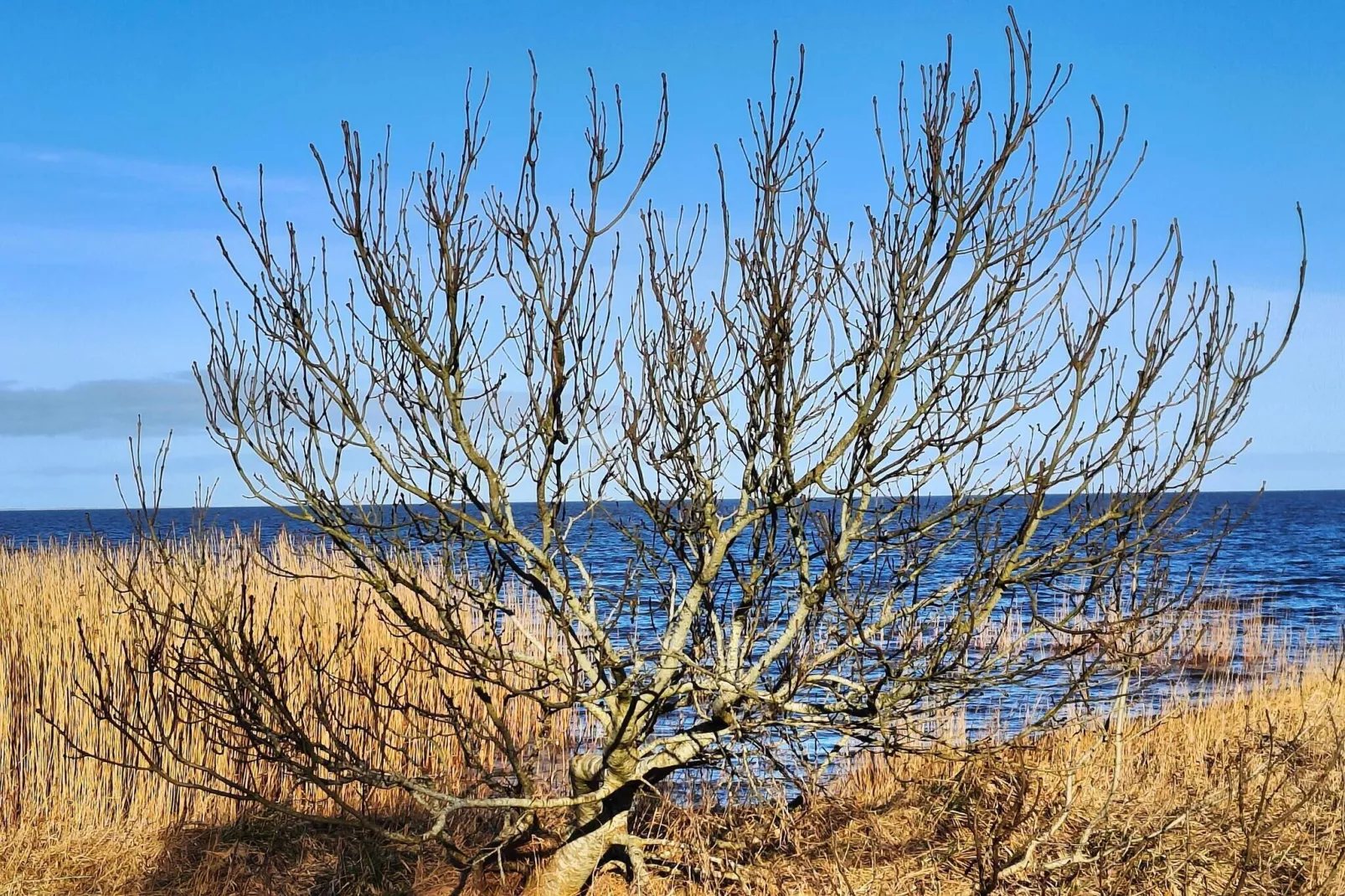 0 Personen Ferienhaus in Hemmet-Wasserblick