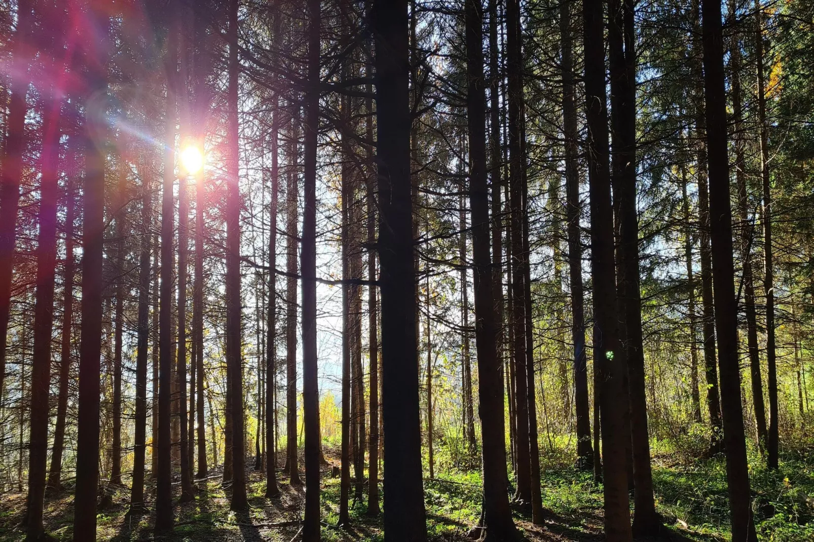 CityApartment Schwaz-Zones été à 5 km