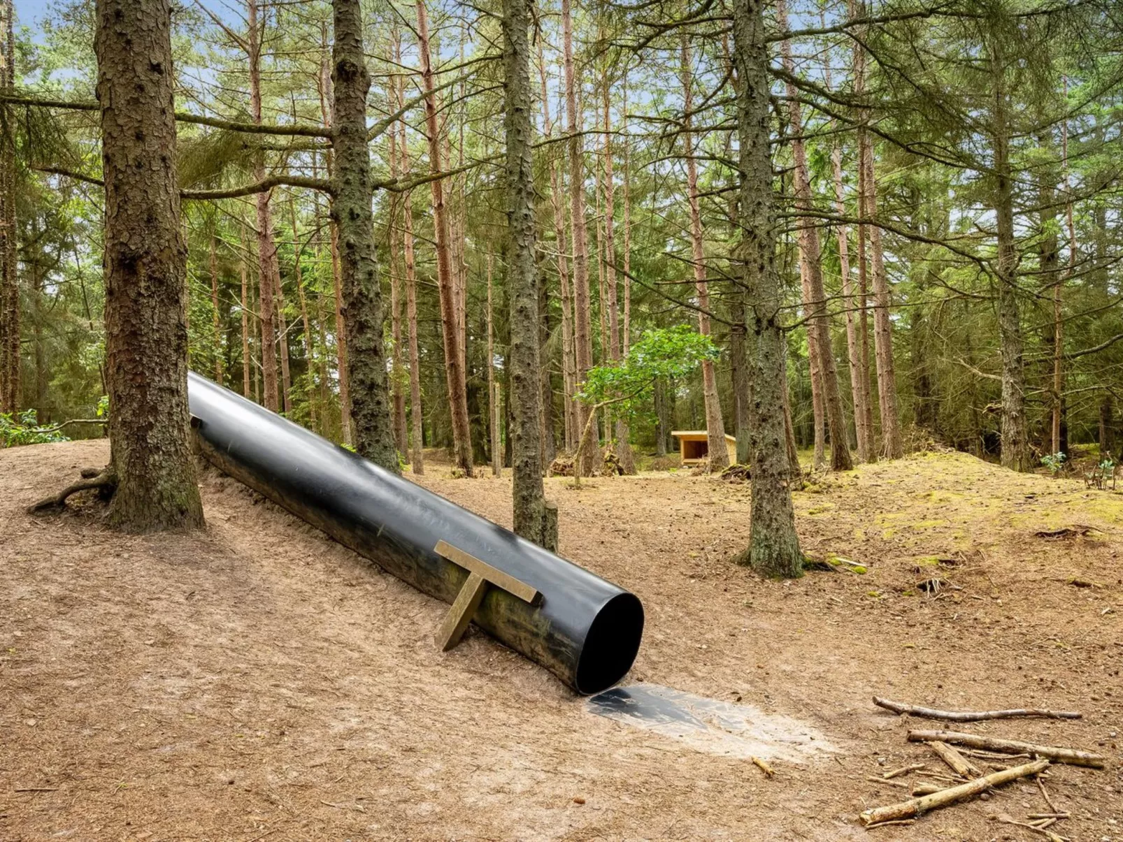 "Ernesta" -  from the sea-Outside