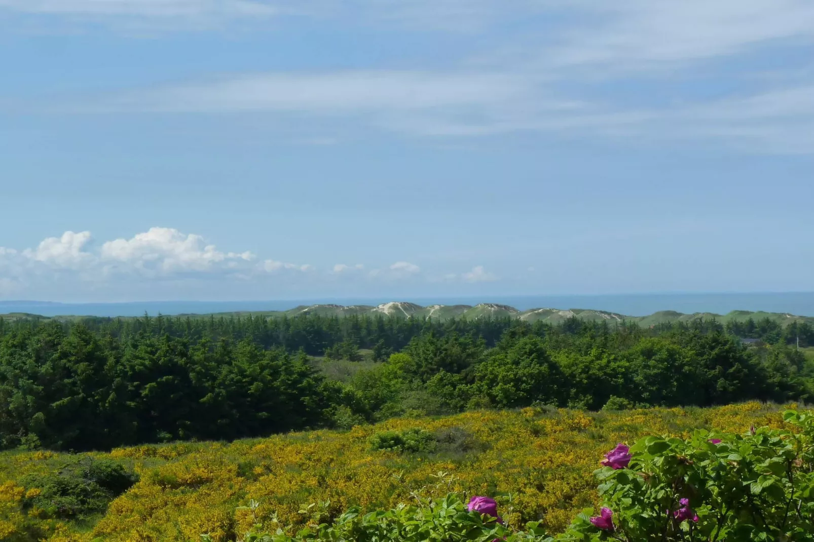 4 etoiles maison de vacances a Brønderslev-Non tagué