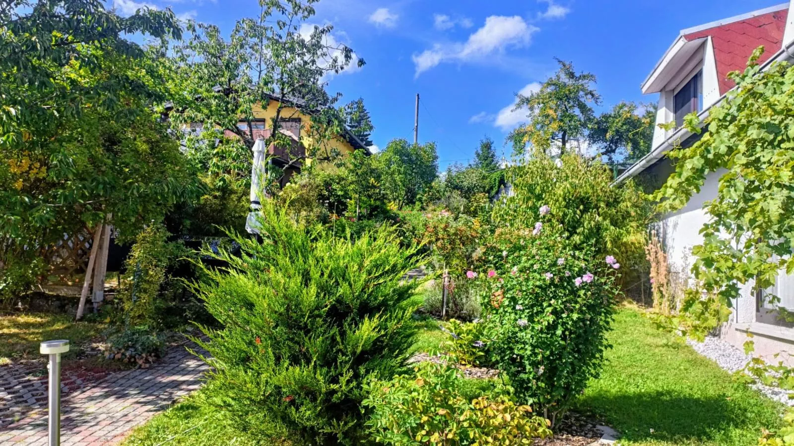 Am Sandberg-Jardins en été