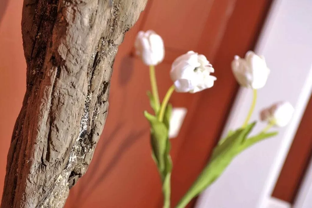 283745-Nicht zugeordnet