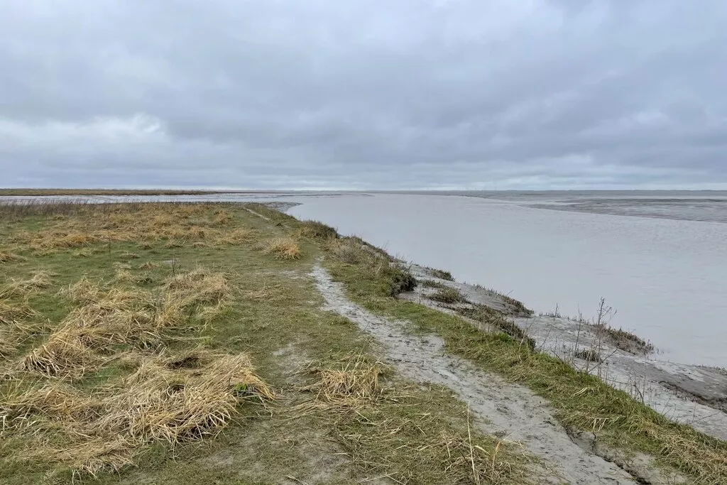 411188-Nicht zugeordnet