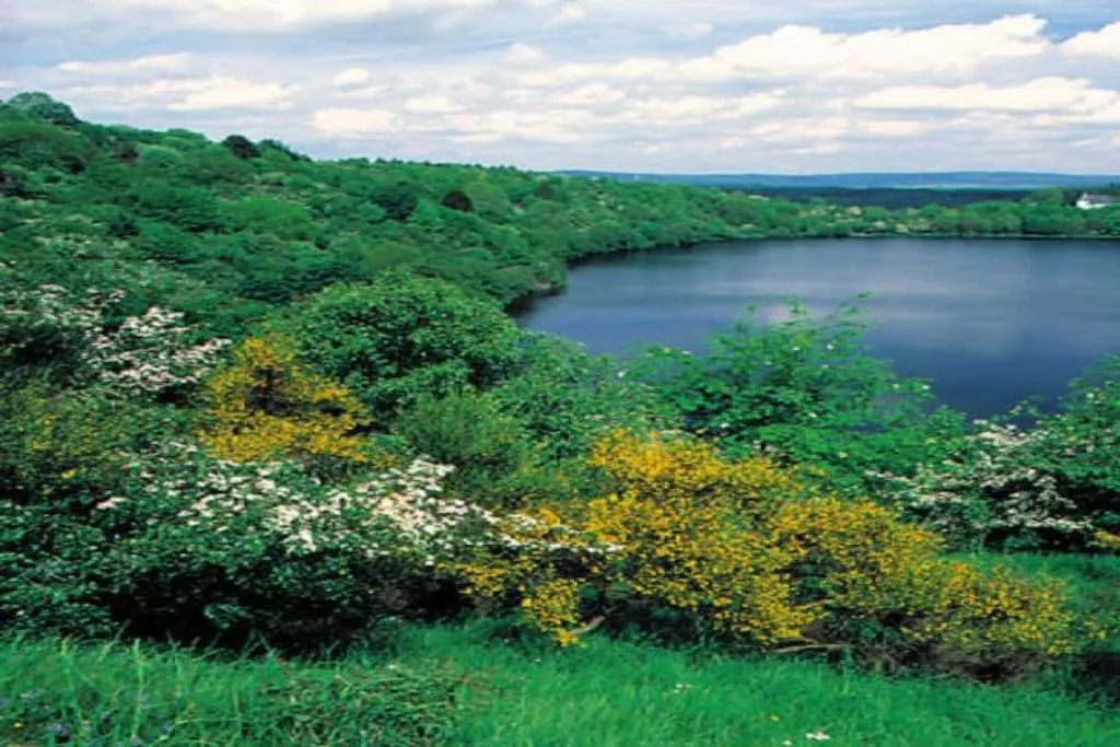 13565-Nicht zugeordnet