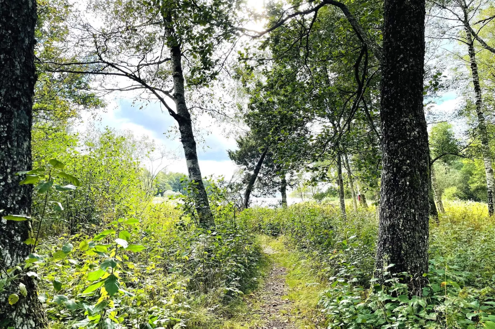 4 etoiles maison de vacances a TVÄRRED-Non tagué