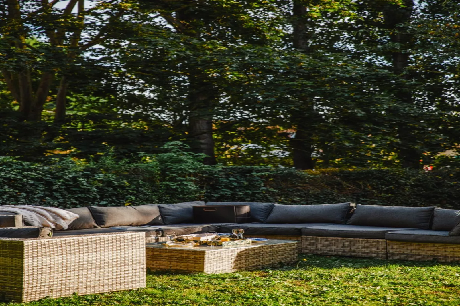 DEAUVILLE RAINGOLD-Nicht zugeordnet