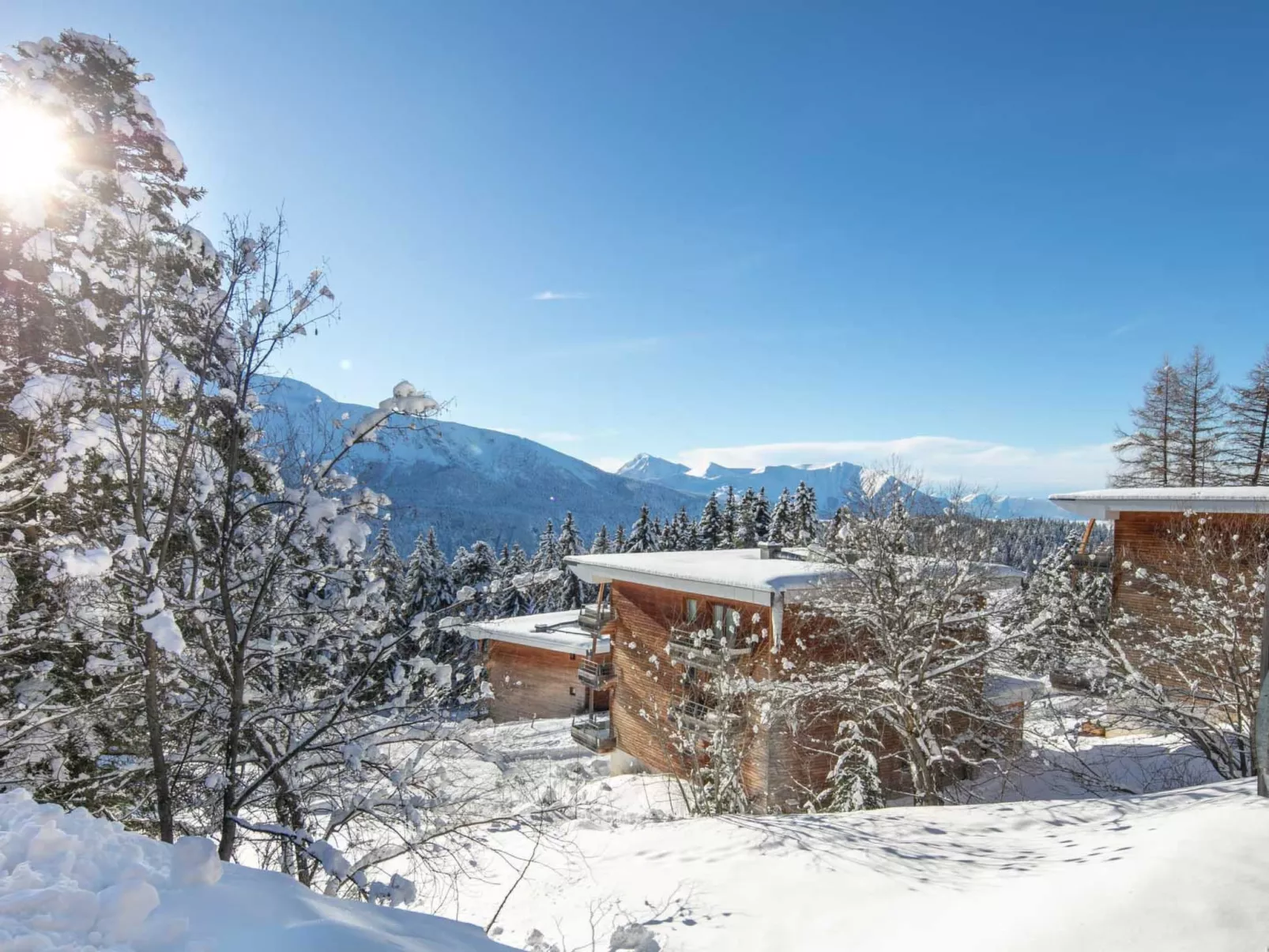 V. DU BACHAT AROLLES B-Dehors