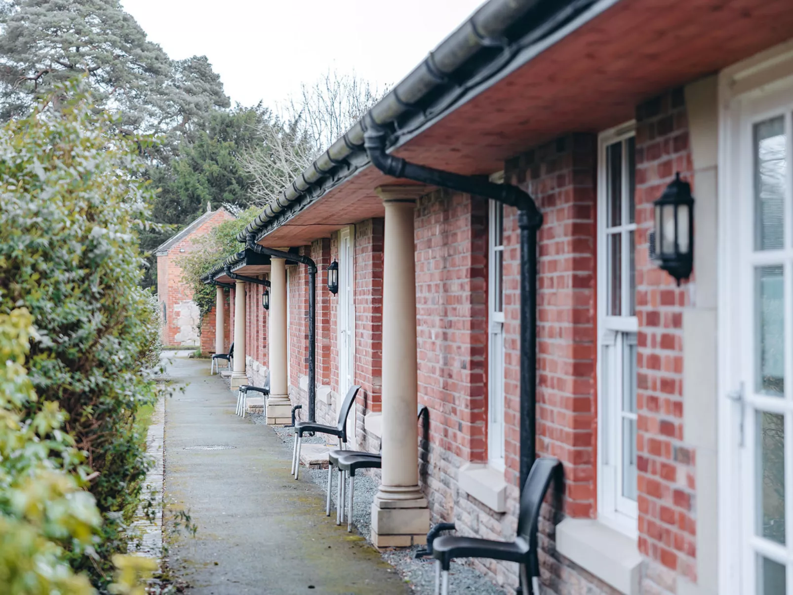 Netley Hall - Peach Tree-Dehors