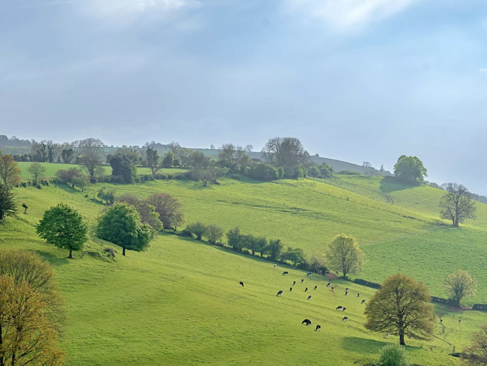 Greenhills Cottage-Draußen