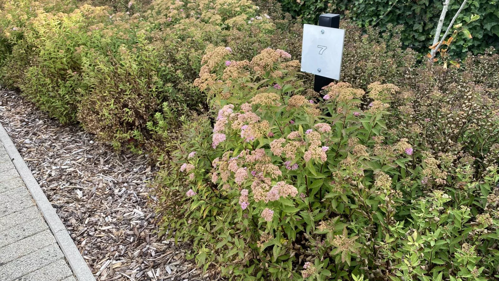 Duinengolf H7-Garden in winter