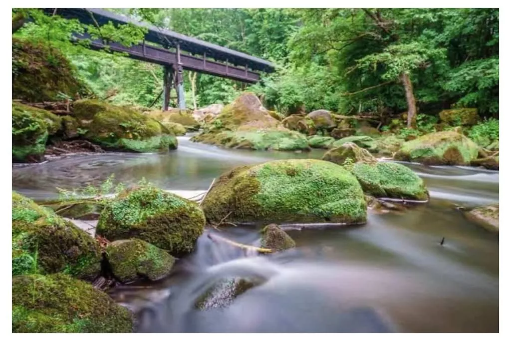 582513-Nicht zugeordnet