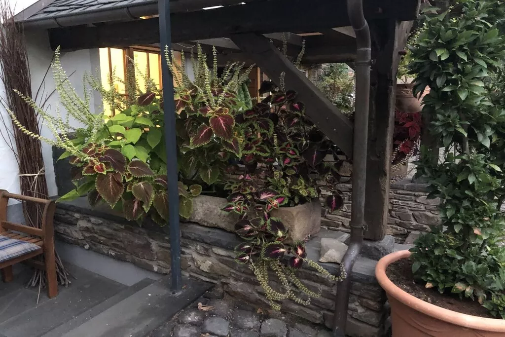 233089-Nicht zugeordnet