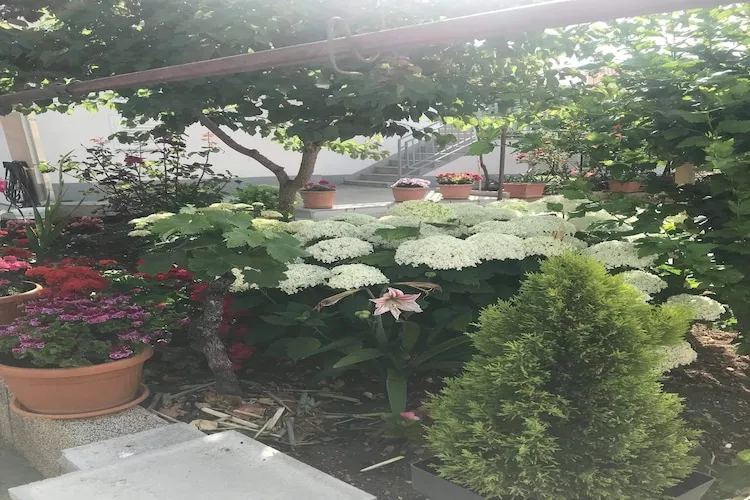 Apartments Villa Tanja - Two Bedroom Apartment with Terrace-Gardens in summer