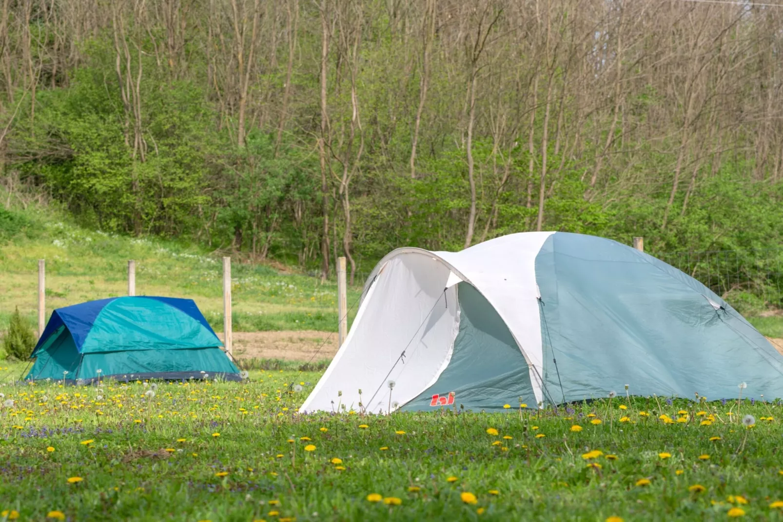 Robinzonski Kamp Hofman - Tent-Extérieur