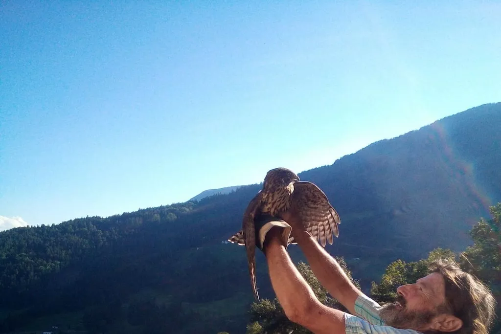 64253-Nicht zugeordnet