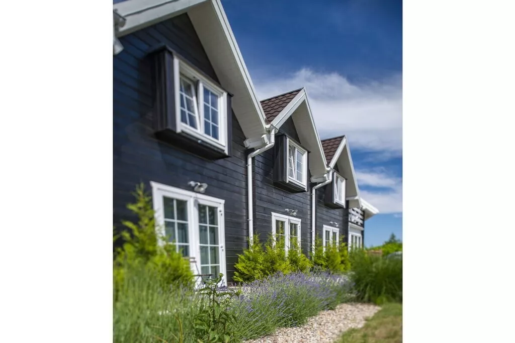 241695-Nicht zugeordnet