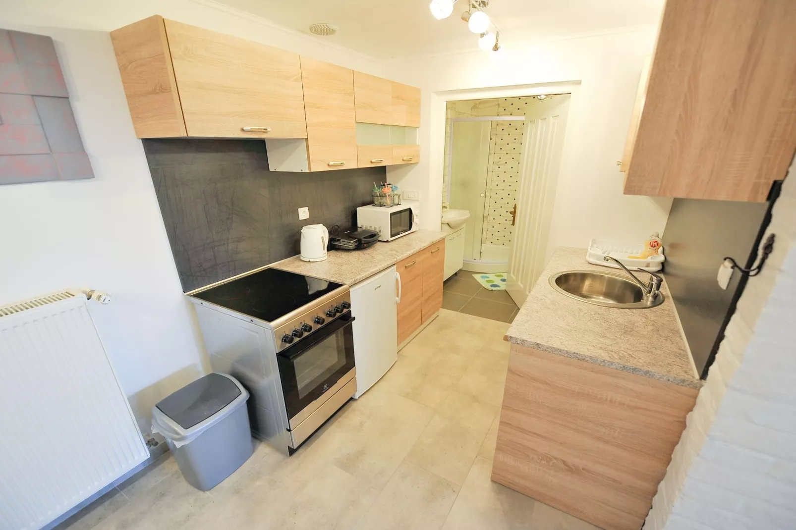 Relax and Rustic Apartments with Terrace - Classic One Bedroom Apartment with Terrace (owner Silvester)-Kitchen