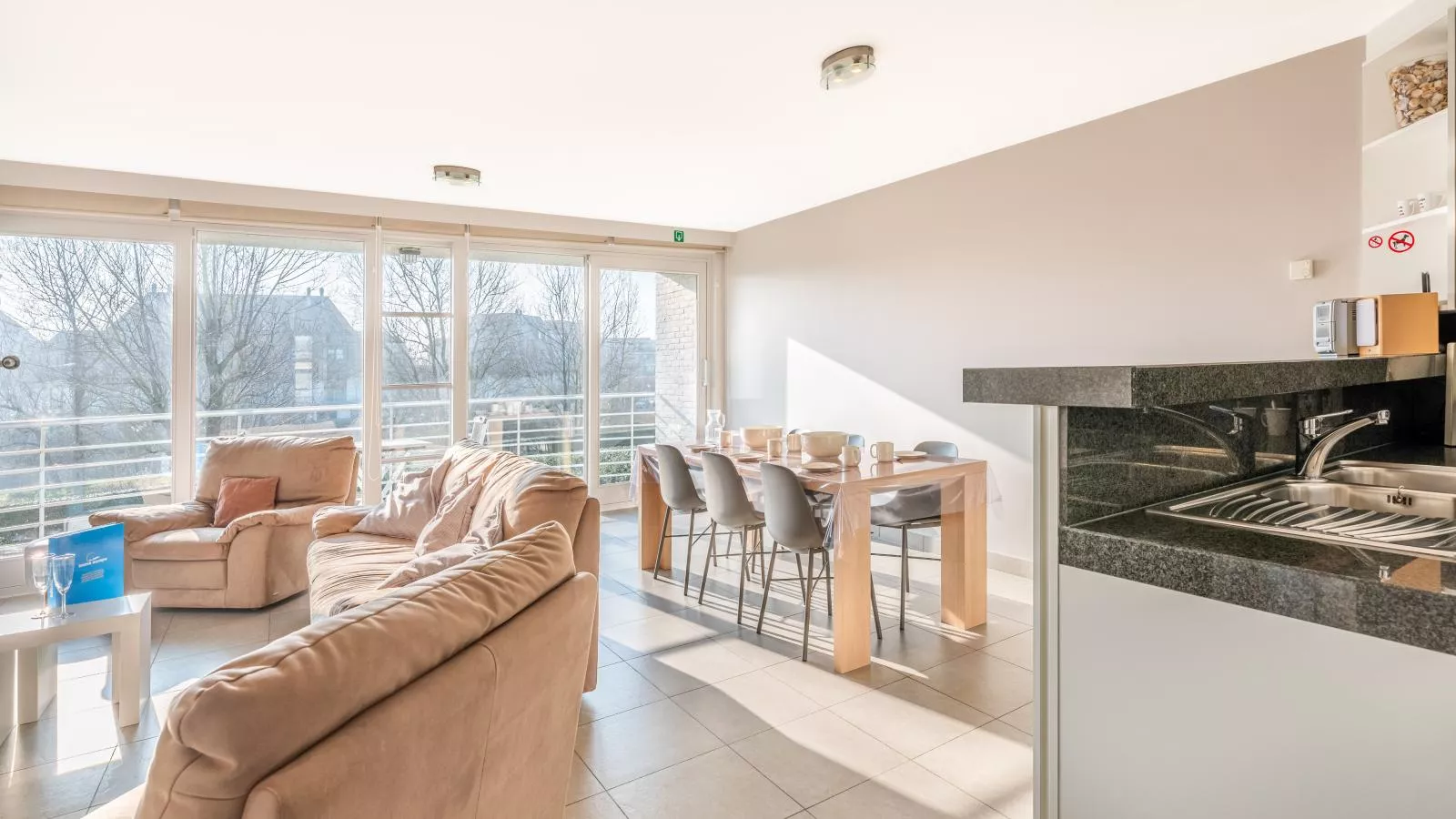 Aman dOr I-103-Living room