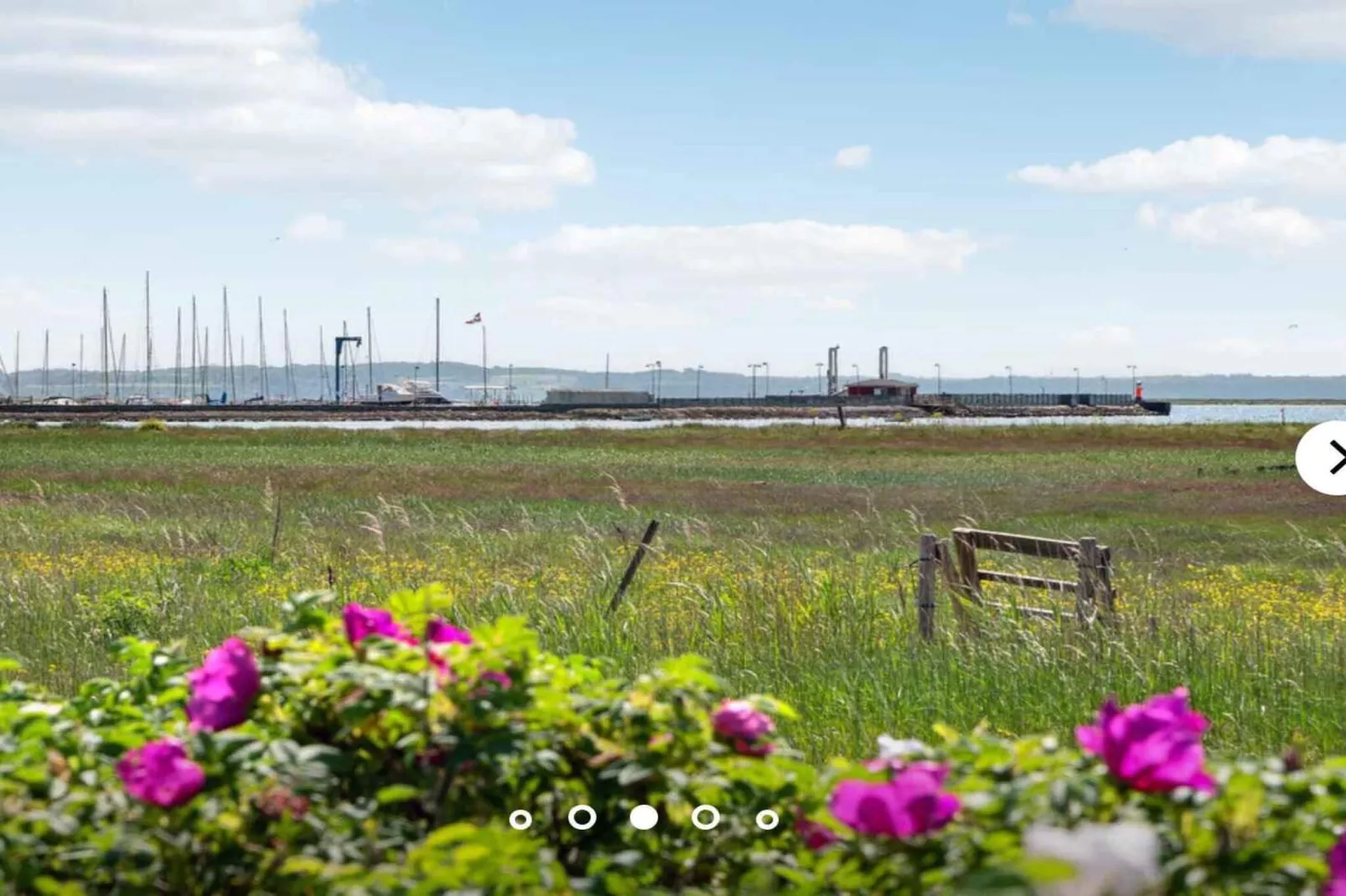 5 Sterne Ferienhaus in Orø-Nicht zugeordnet