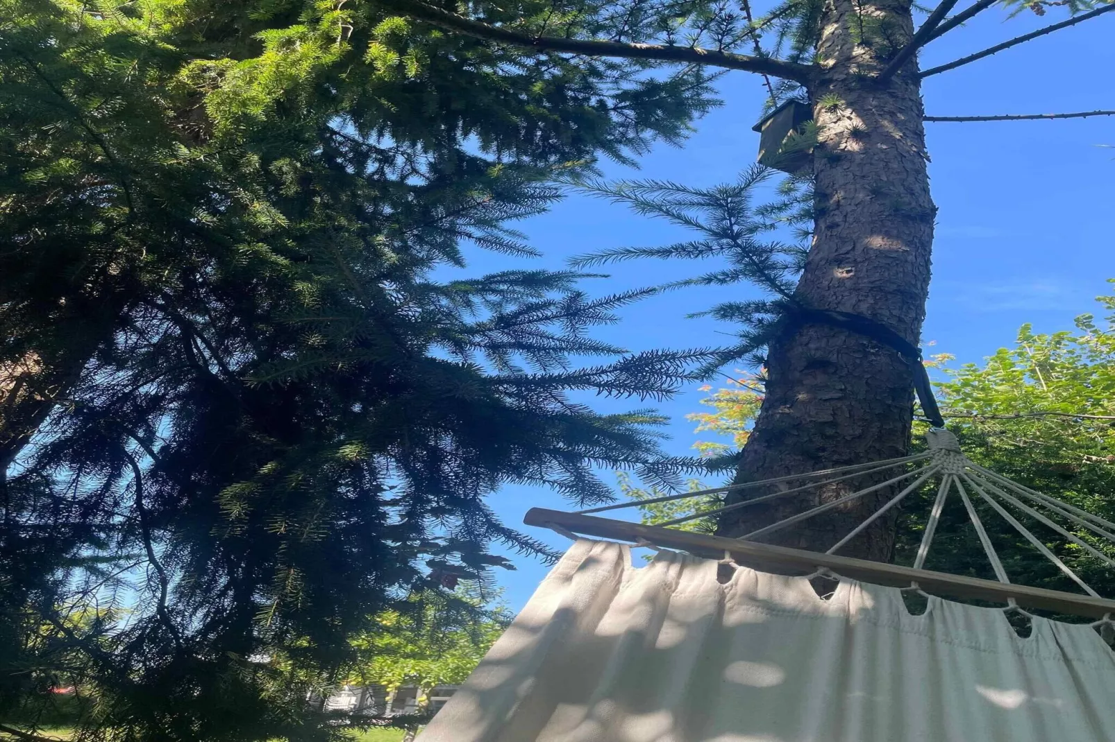 5 star holiday home in Vordingborg-Untagged