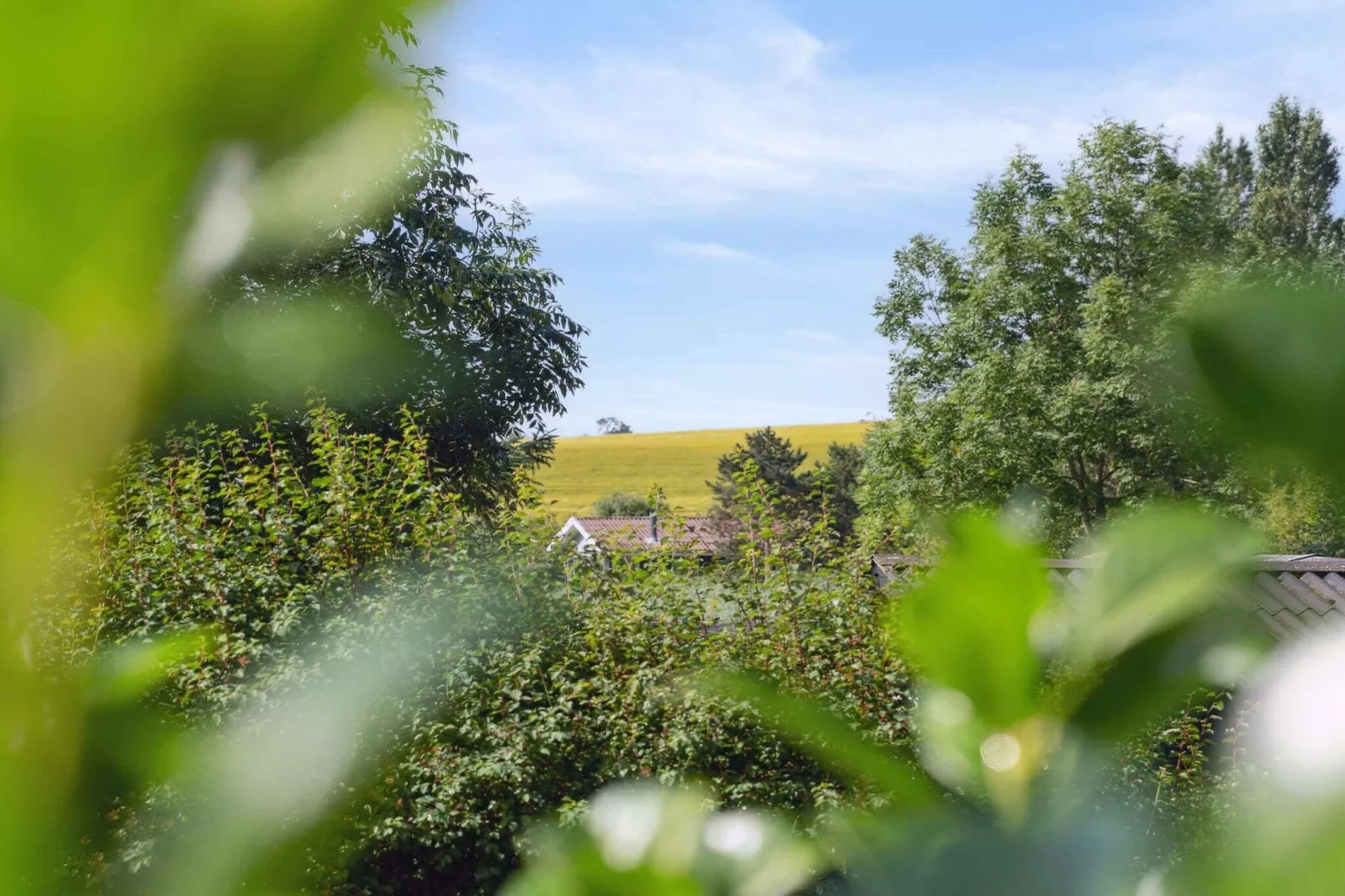 5 etoiles maison de vacances a Slagelse-Extérieur