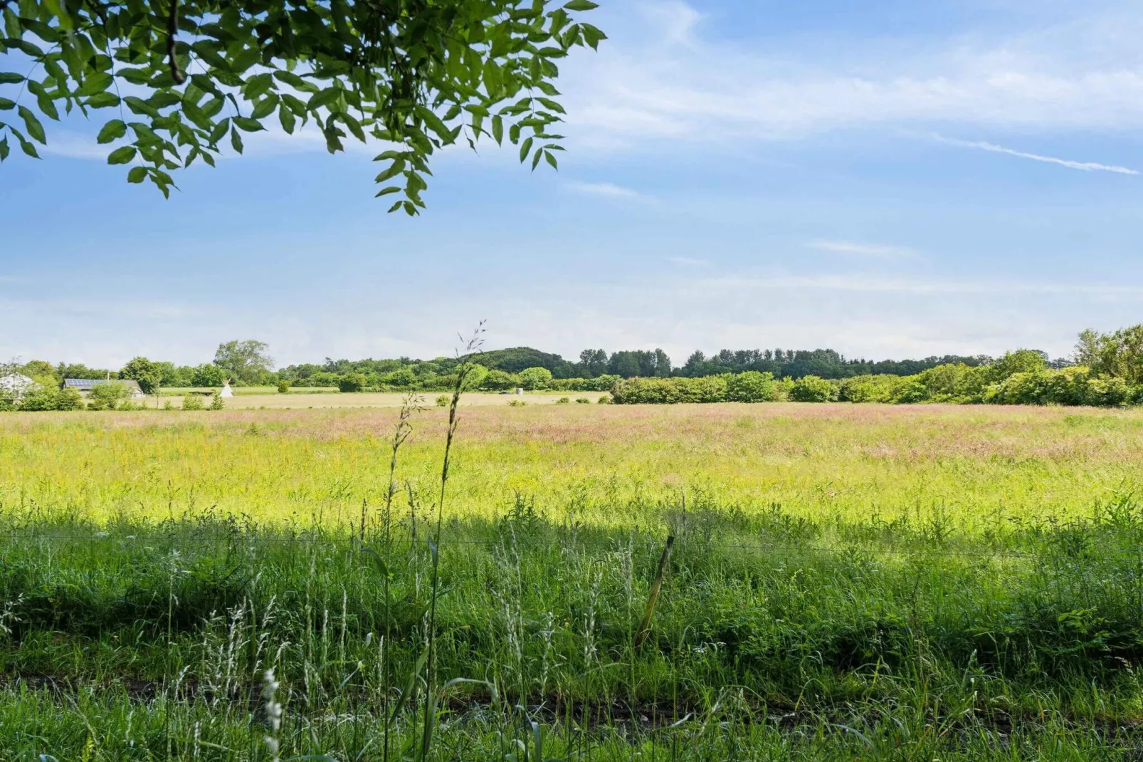 5 star holiday home in Millinge-Outdoor