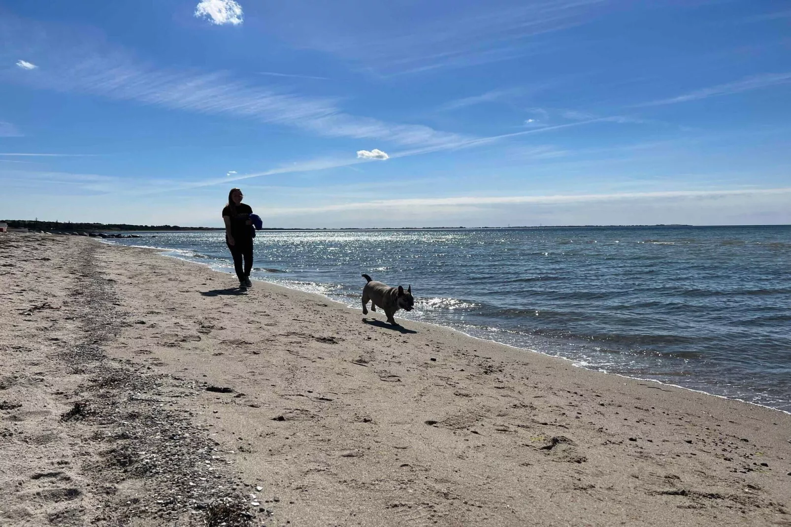5 Sterne Ferienhaus in Store Fuglede-Im Freien