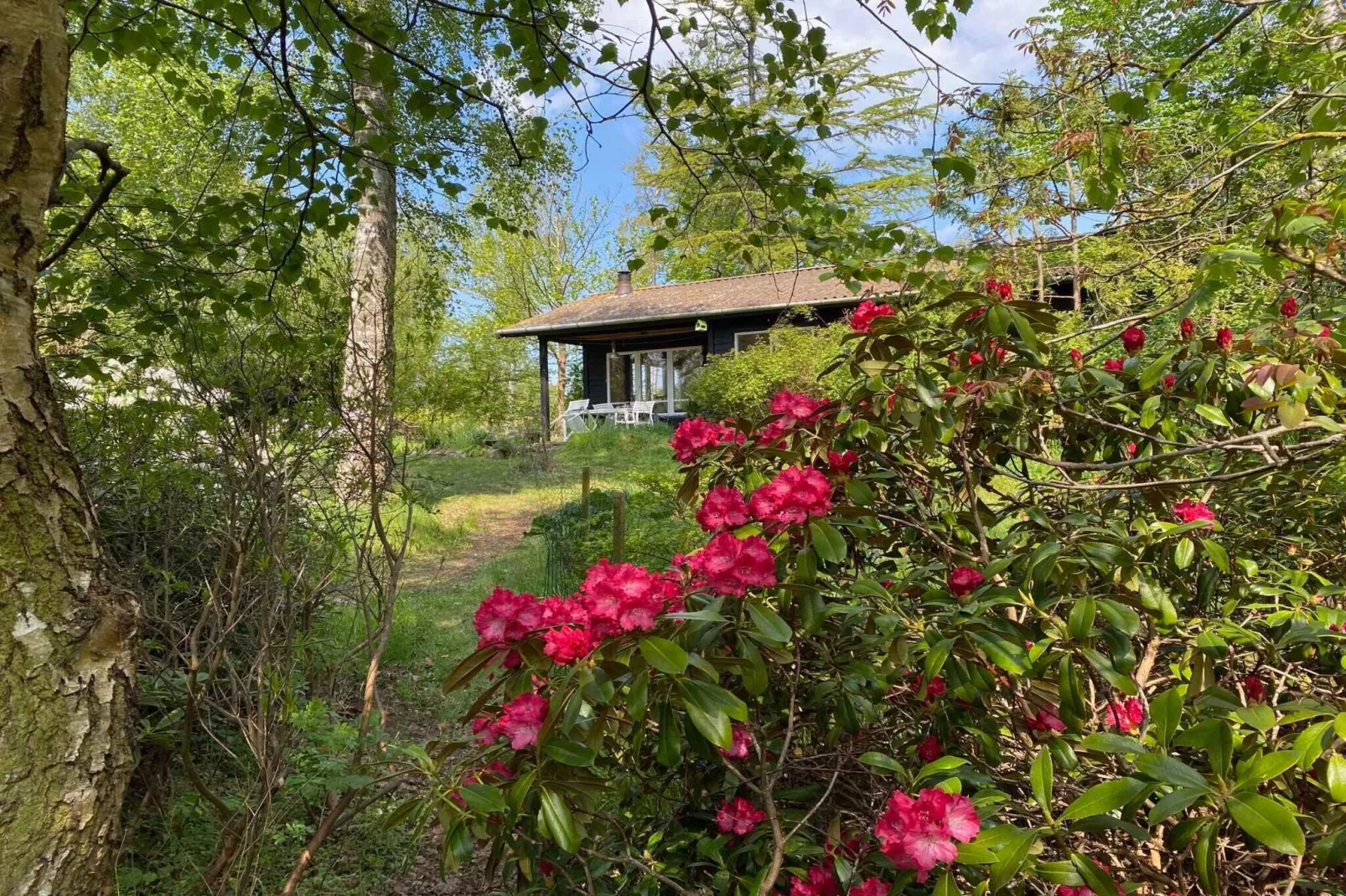 5 Sterne Ferienhaus in Fårevejle-Im Freien